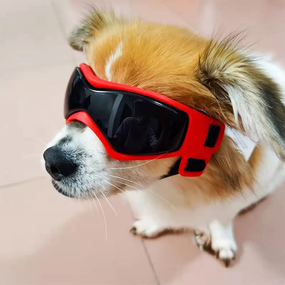 Dog Goggles for Small Breed Dog Sunglasses Dog UV Sunglasses Windproof Soft Frame Adjustable Straps for Small/Medium Dogs Puppy