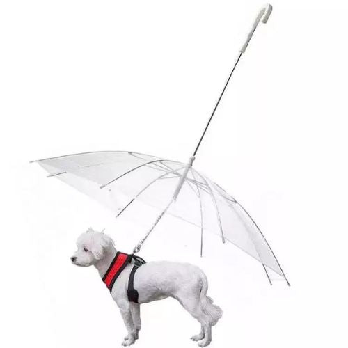 Pet Umbrella