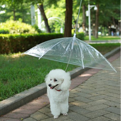 Pet Umbrella