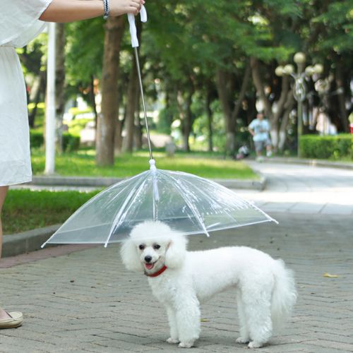 Pet Umbrella